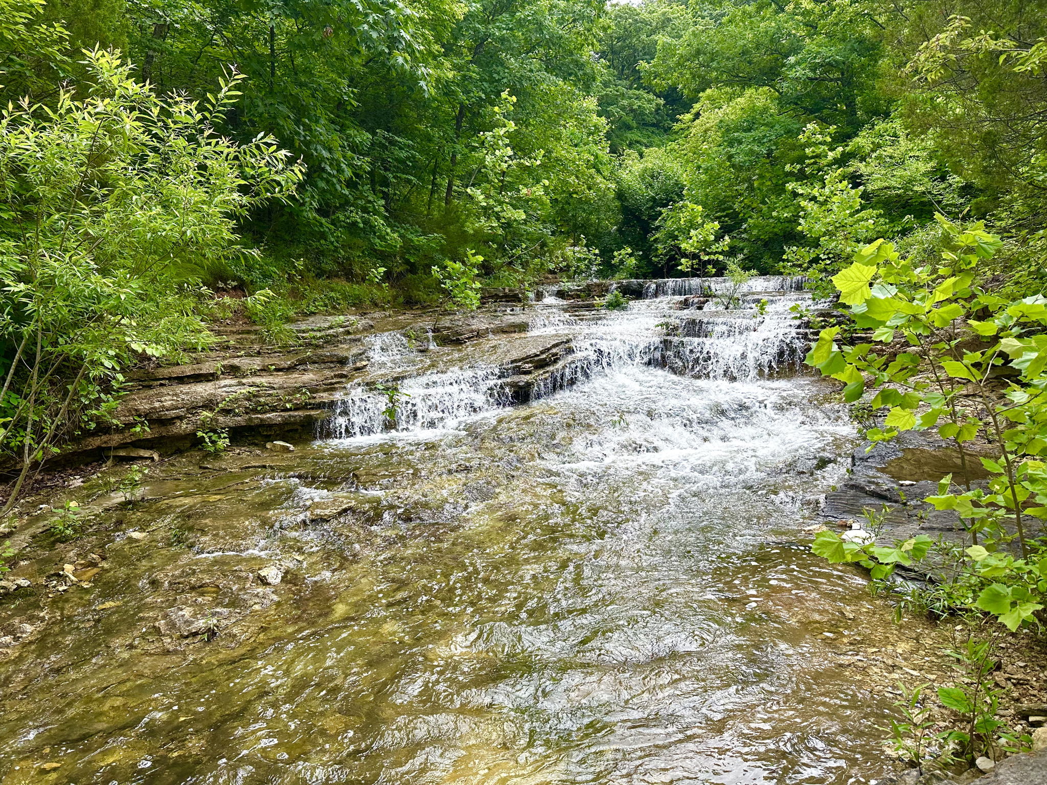 This is one of the most picturesque spots in the back acres, only a 15 minute walk from this parcel.