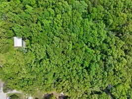 Just Listed: Lake Wauwanoka Block A, Lots 55 & 56