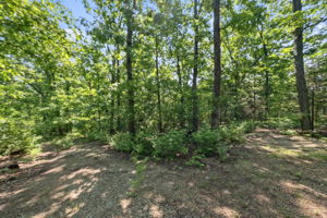 If seeking a wooded oasis, this is IT!