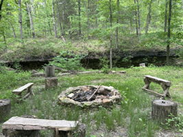 There are so many goodies tucked in those woods.  You never know what you will stumble upon!