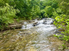 This is one of the most picturesque spots in the back acres, only a 15 minute walk from this parcel.