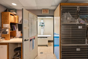 311 N Santa N Anita Avenue-38