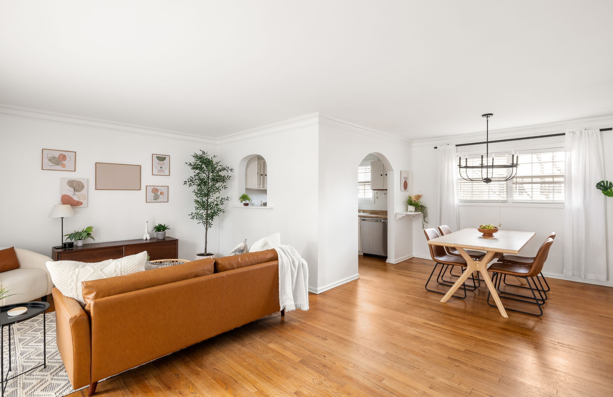 20251208_311peachtree_roots008