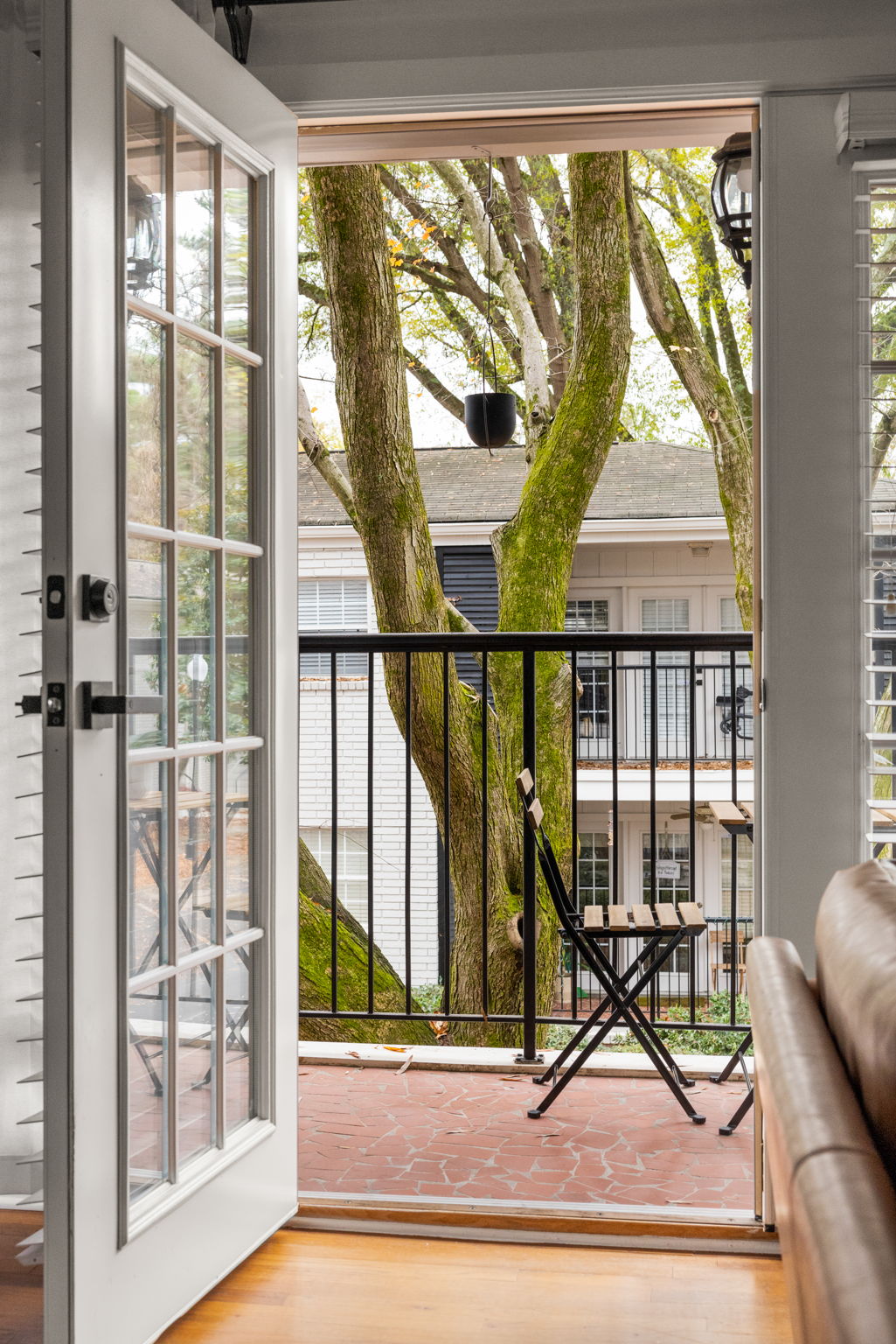 20251208_311peachtree_roots036