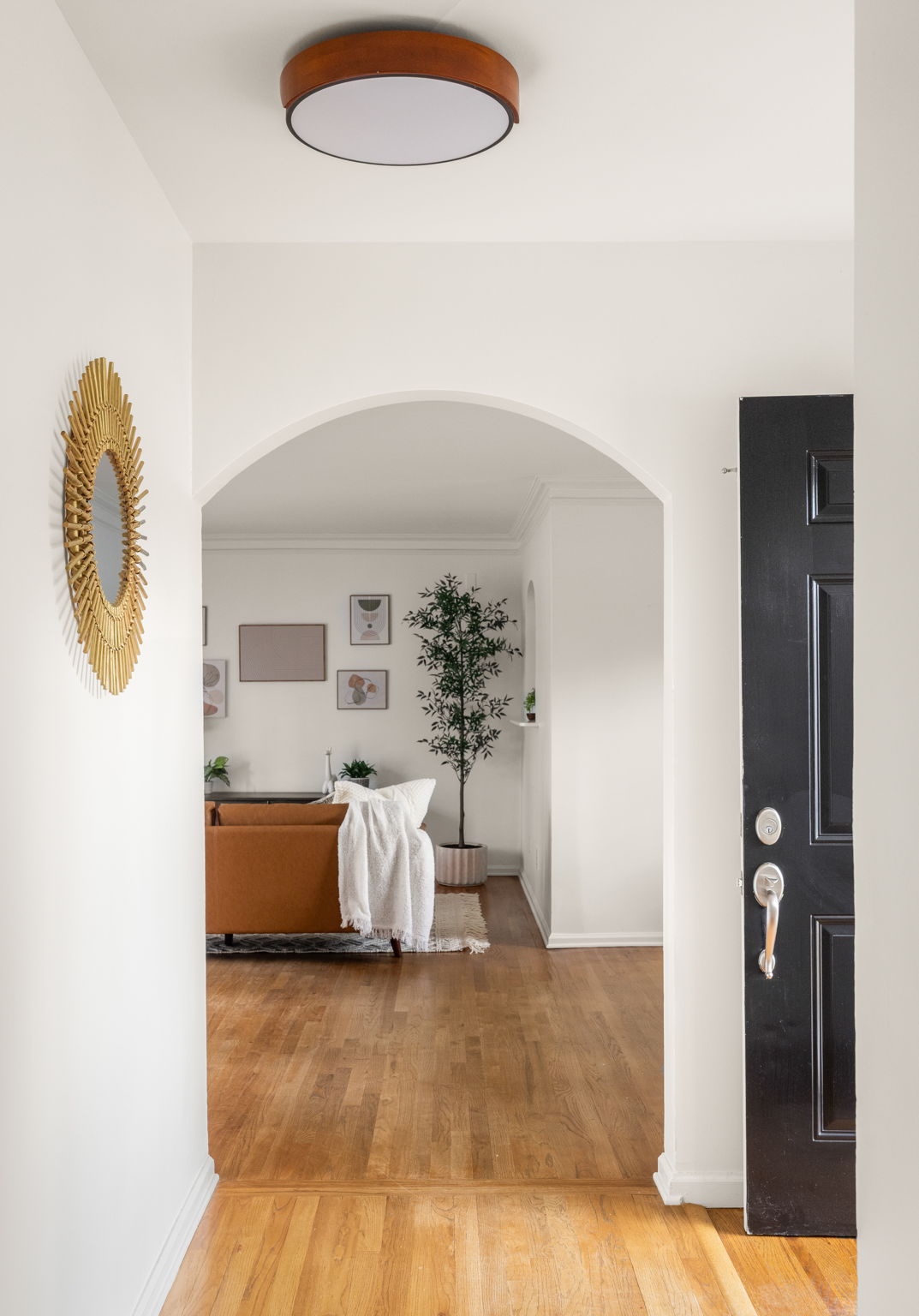 20251208_311peachtree_roots055