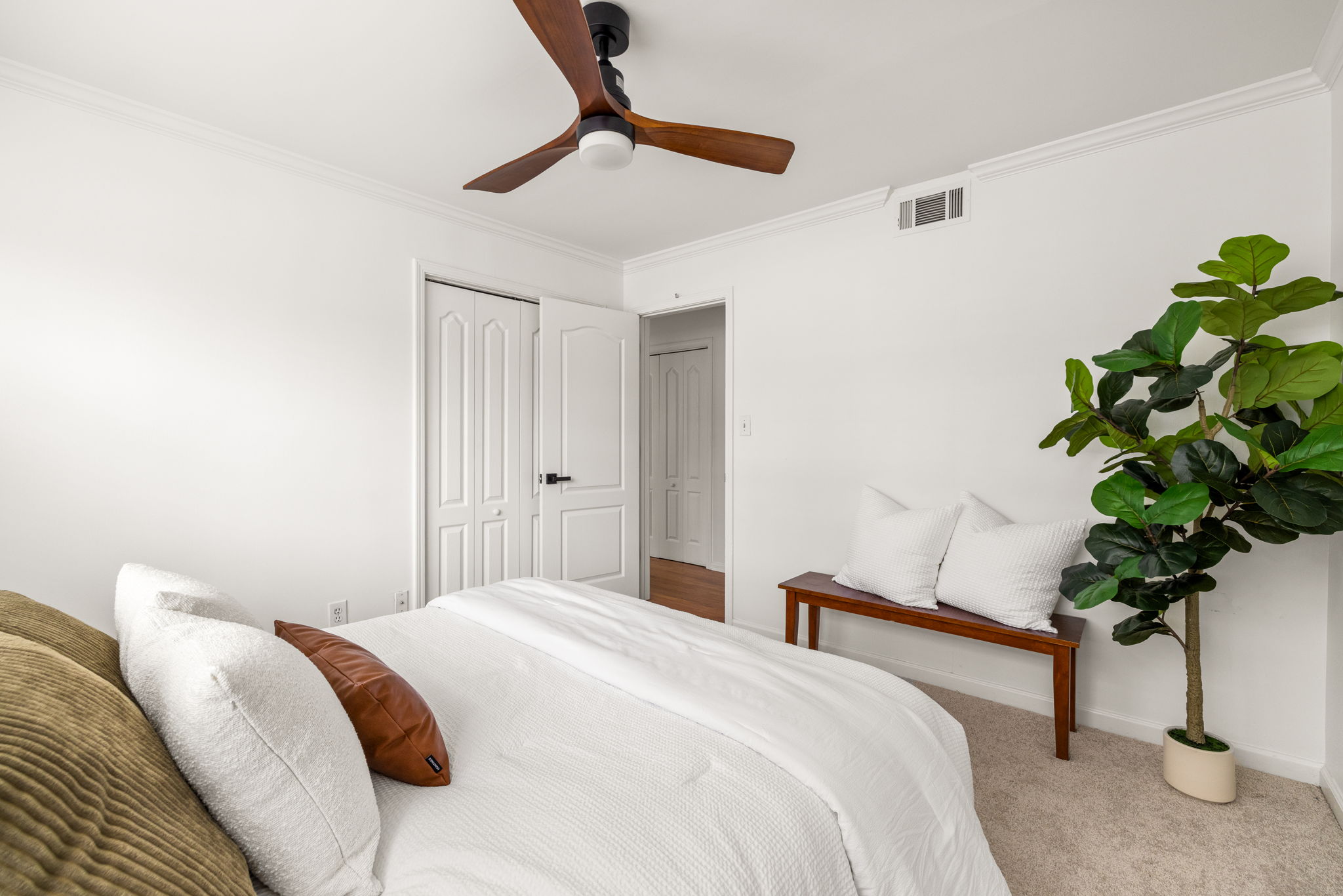 20251208_311peachtree_roots063