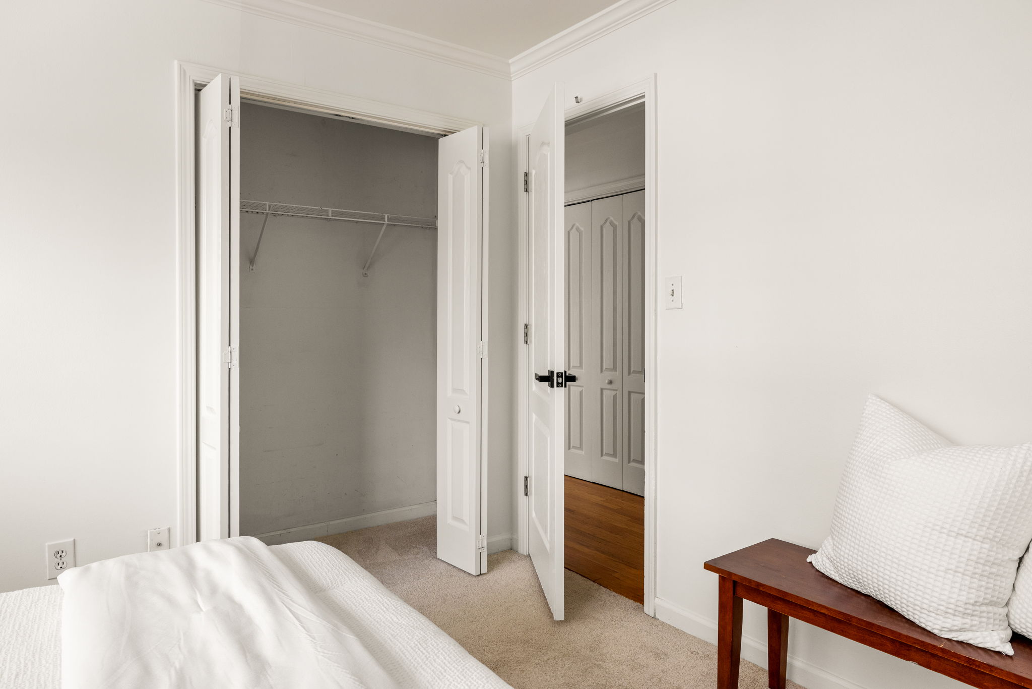 20251208_311peachtree_roots065