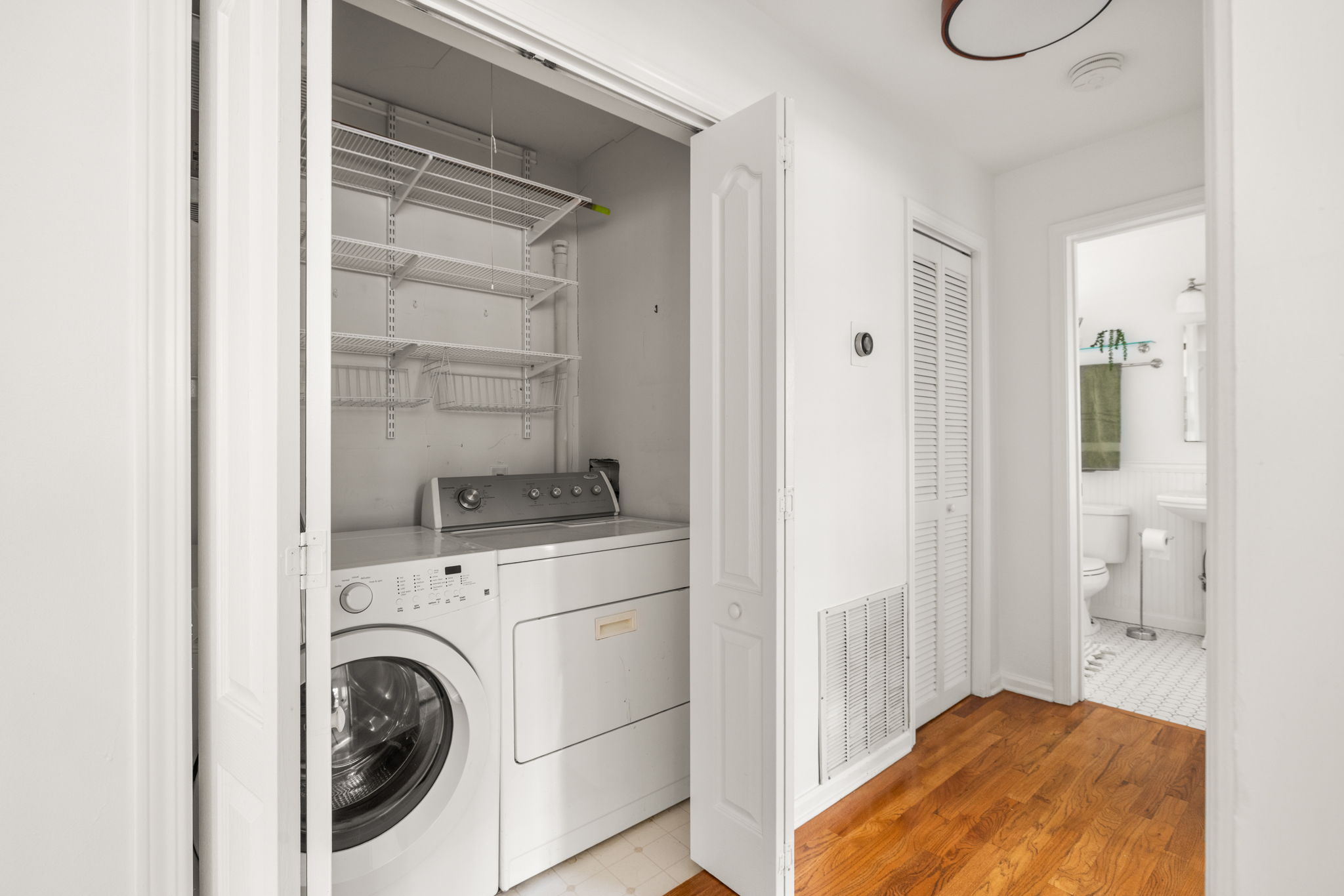 20251208_311peachtree_roots070