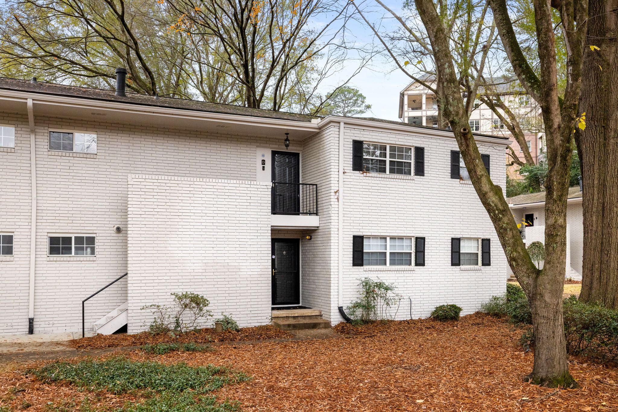 20251208_311peachtree_roots089