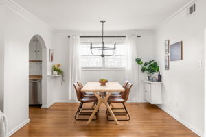 20251208_311peachtree_roots014