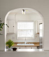 20251208_311peachtree_roots033