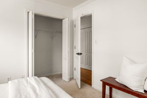 20251208_311peachtree_roots065