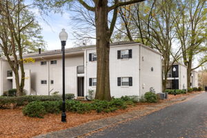 20251208_311peachtree_roots086