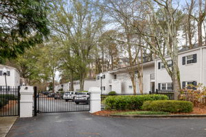 20251208_311peachtree_roots095