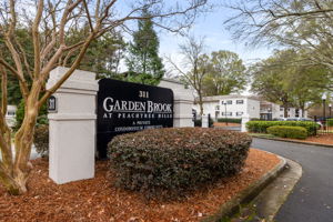 20251208_311peachtree_roots098