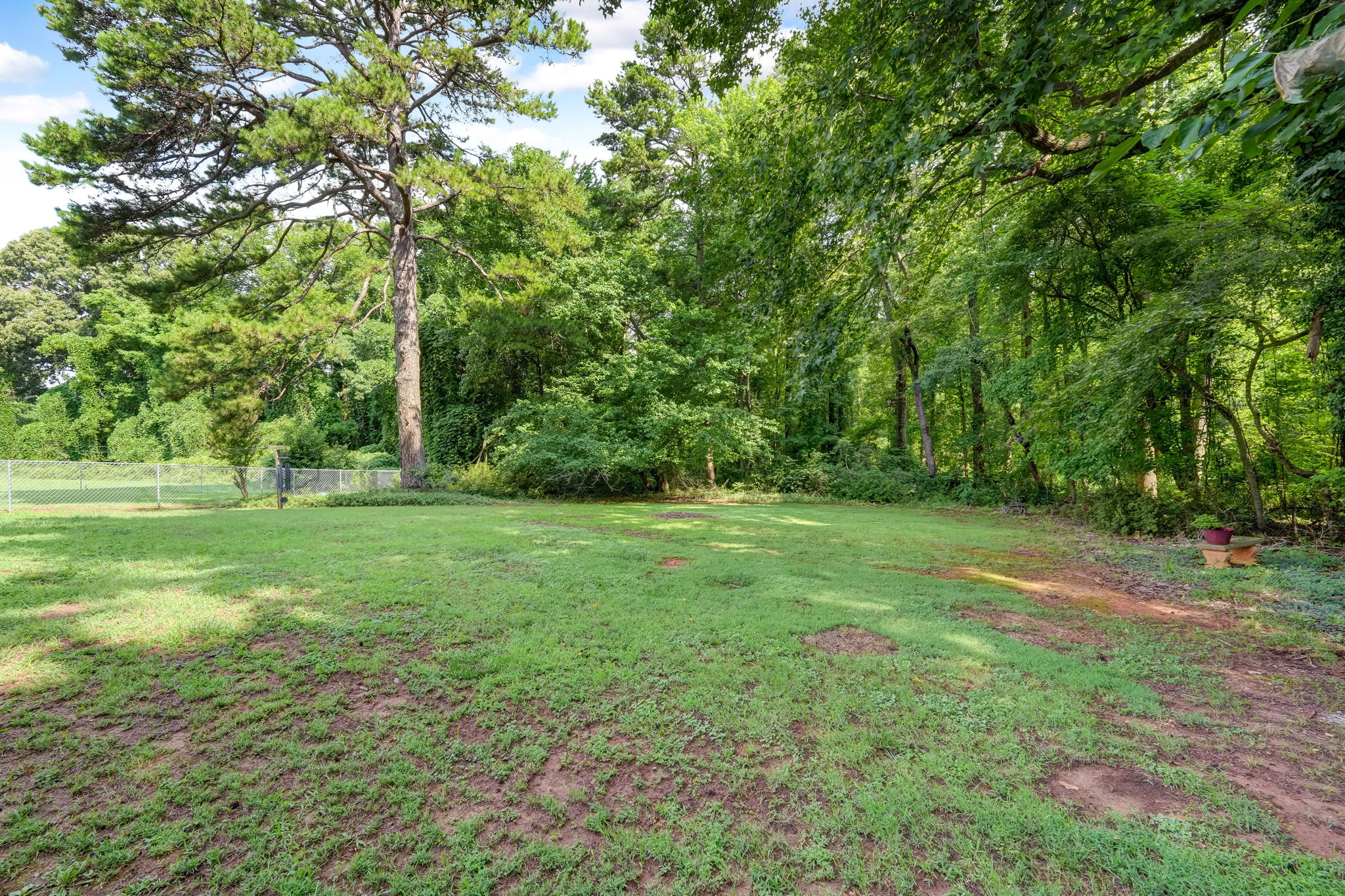 Back Yard