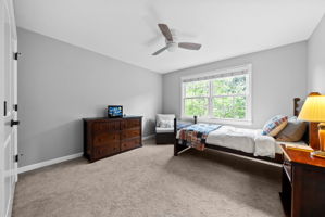 Photo 47