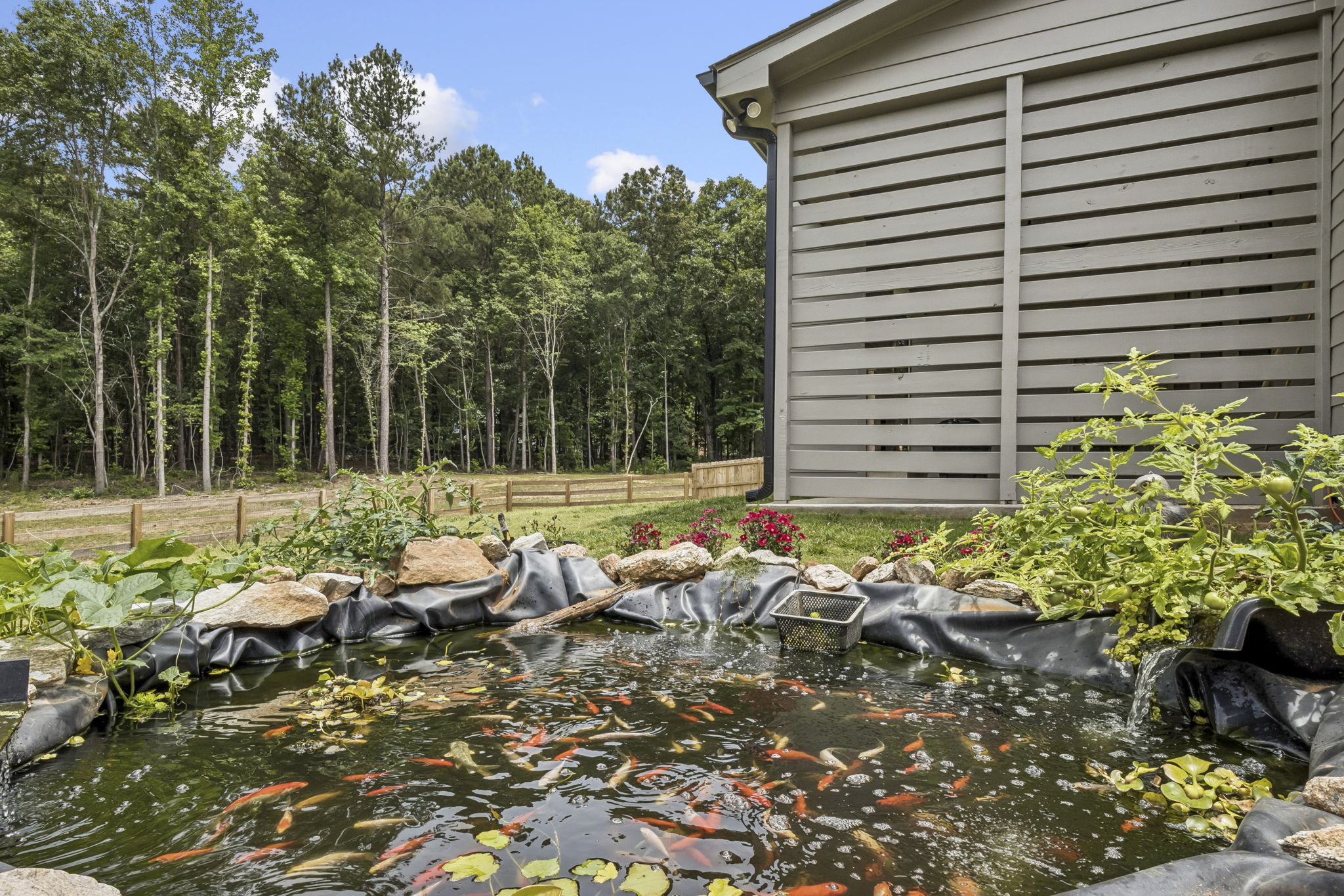 Fish Pond