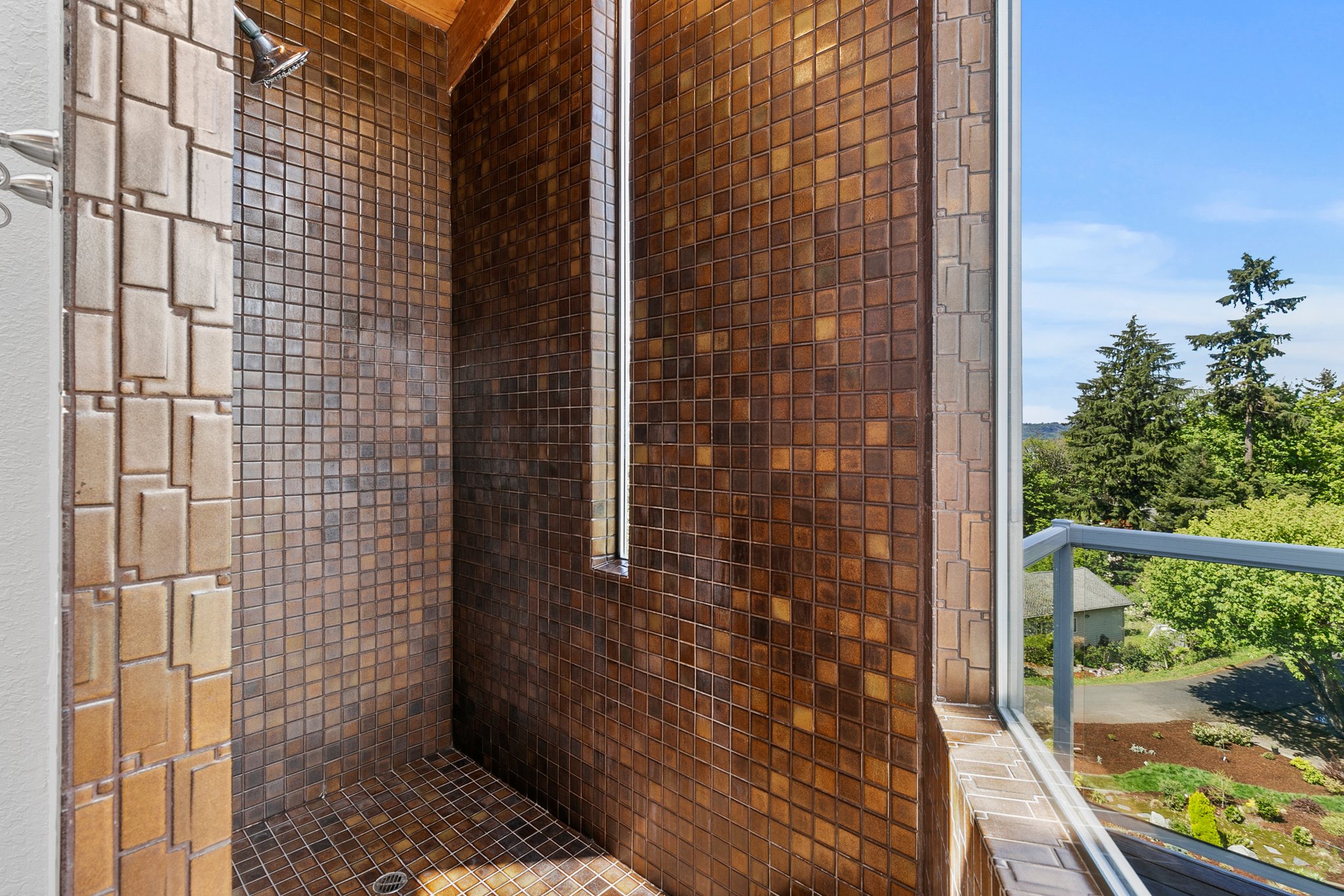 Primary Bathroom Shower