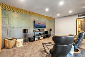 Media Room/family room