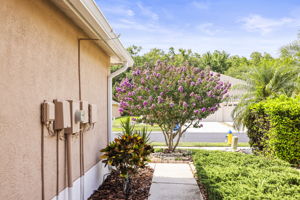 Front Entrance to Street - 495A5832