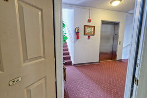  Photo 51