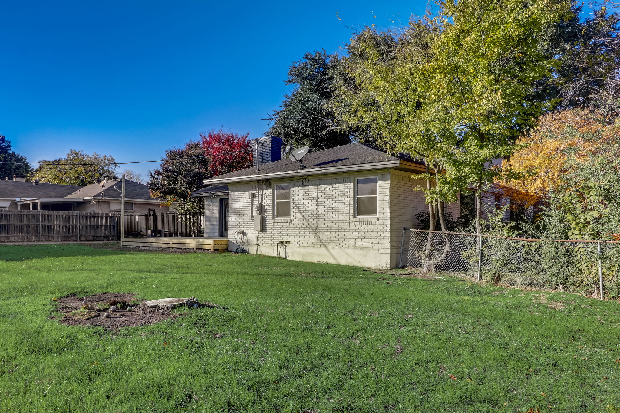 Ruidosa Ave-030