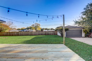 Ruidosa Ave-032