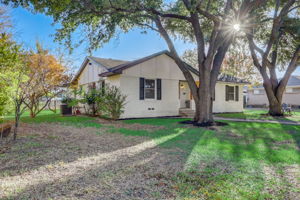 Ruidosa Ave-002