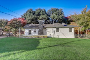 Ruidosa Ave-029