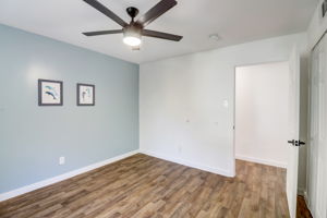 Ruidosa Ave-024