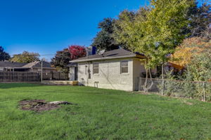 Ruidosa Ave-030