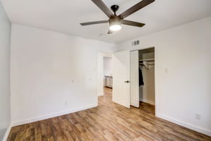 Ruidosa Ave-023