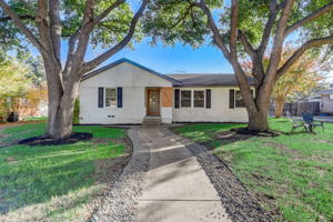 Ruidosa Ave-001