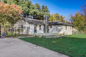 Ruidosa Ave-031