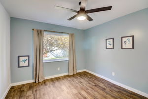 Ruidosa Ave-021