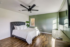 Ruidosa Ave-016