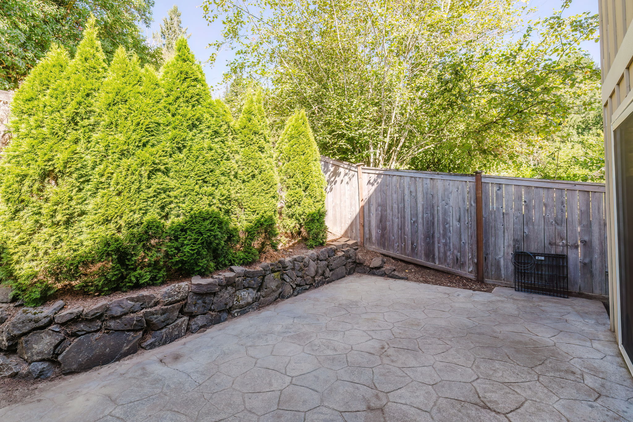  Photo 59
