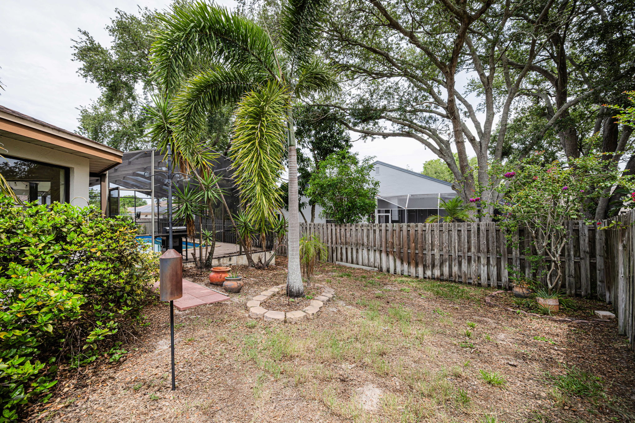 Backyard 1