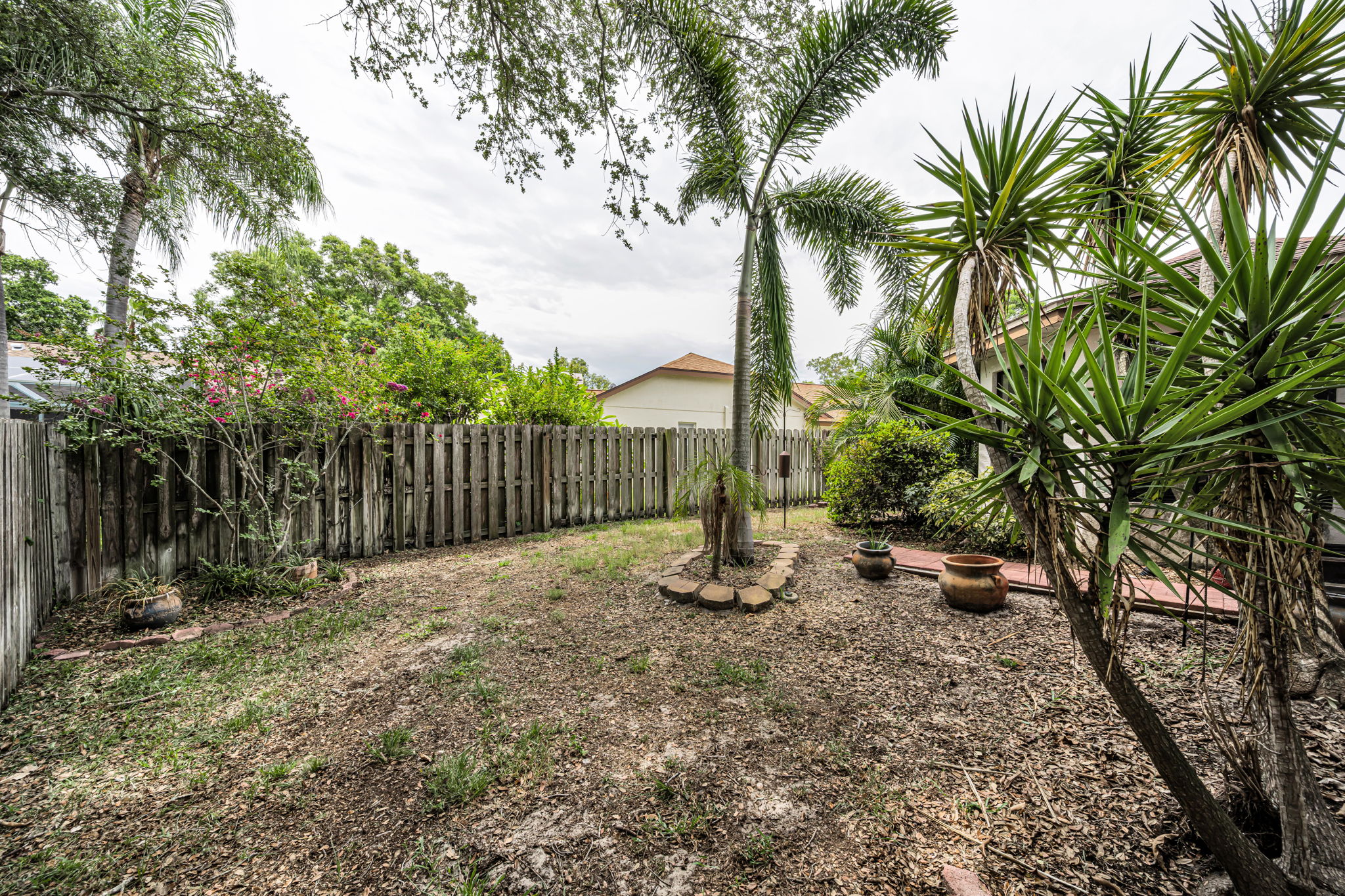 Backyard 3