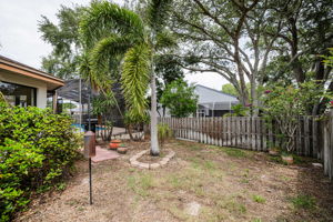 Backyard 1