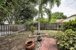 Backyard 4