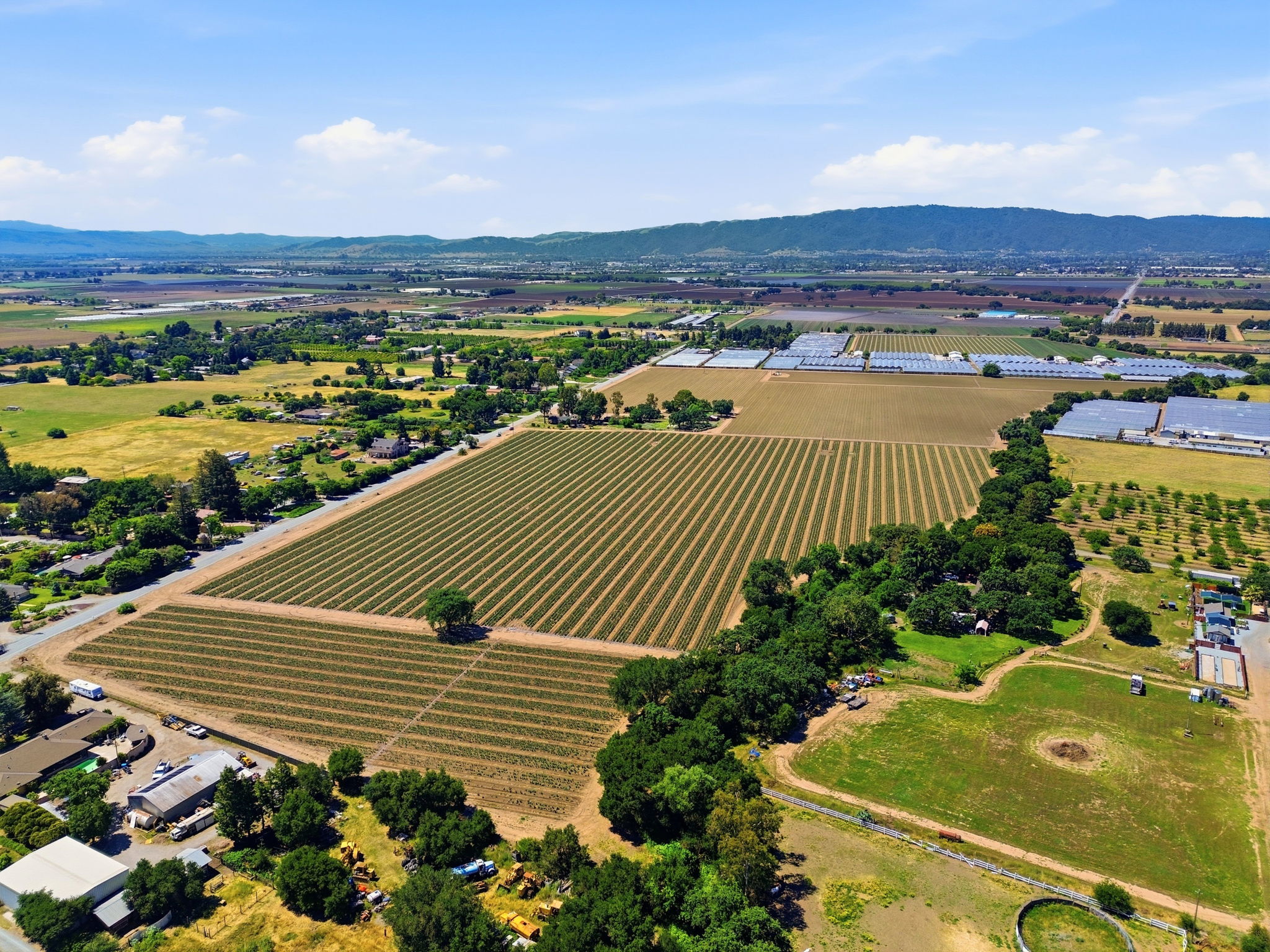 010_F8_AERIAL_3115 Leavesley Rd
