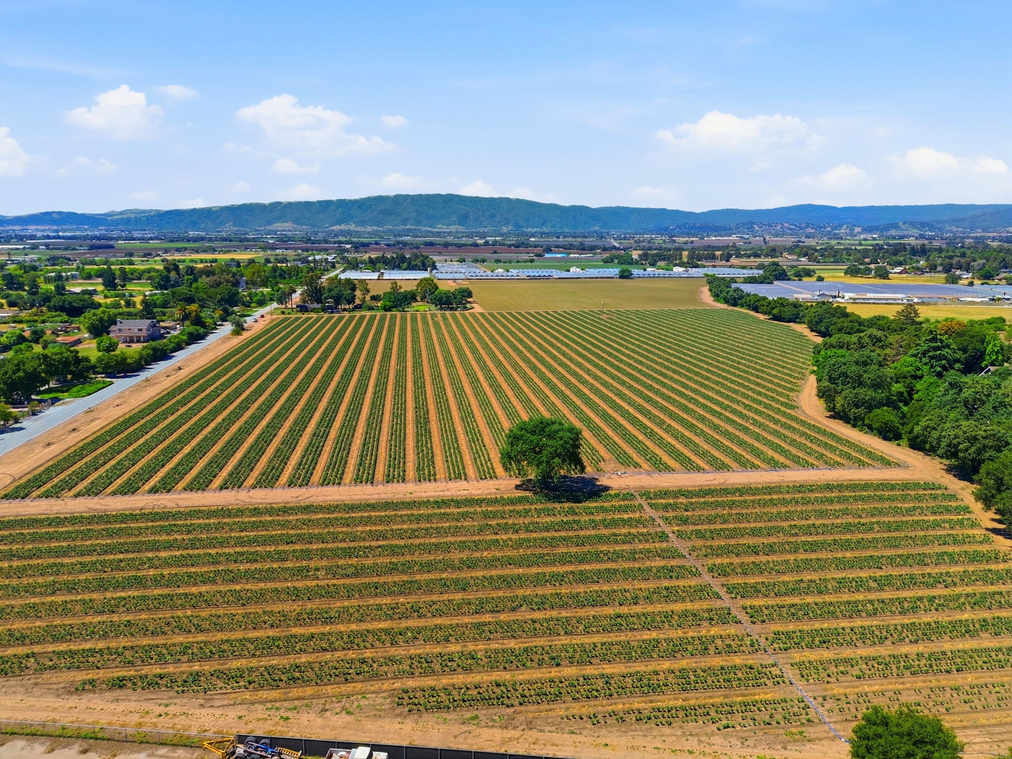 015_F8_AERIAL_3115 Leavesley Rd