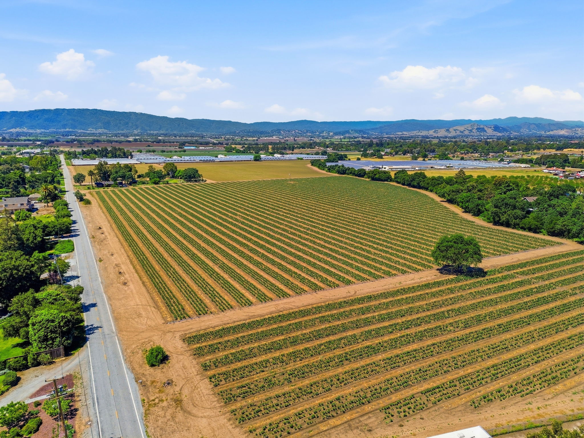 016_F8_AERIAL_3115 Leavesley Rd