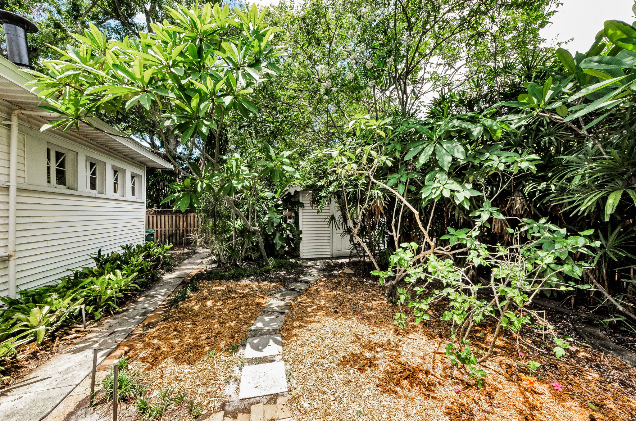 Backyard 3