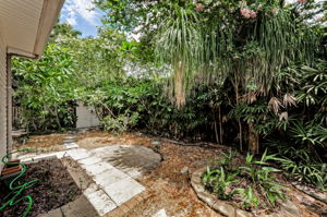 Backyard 1