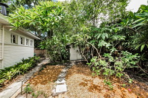 Backyard 3