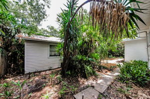 Backyard 4