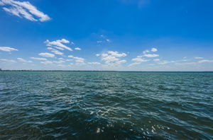 89-print-Bayshore Blvd Water View11